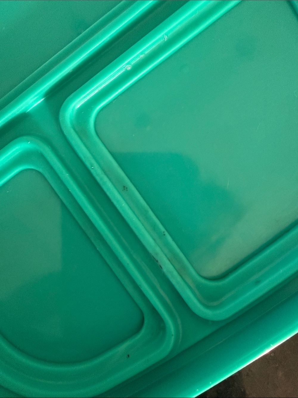 Storage Container (Bentgo) - Picture 7 of 9